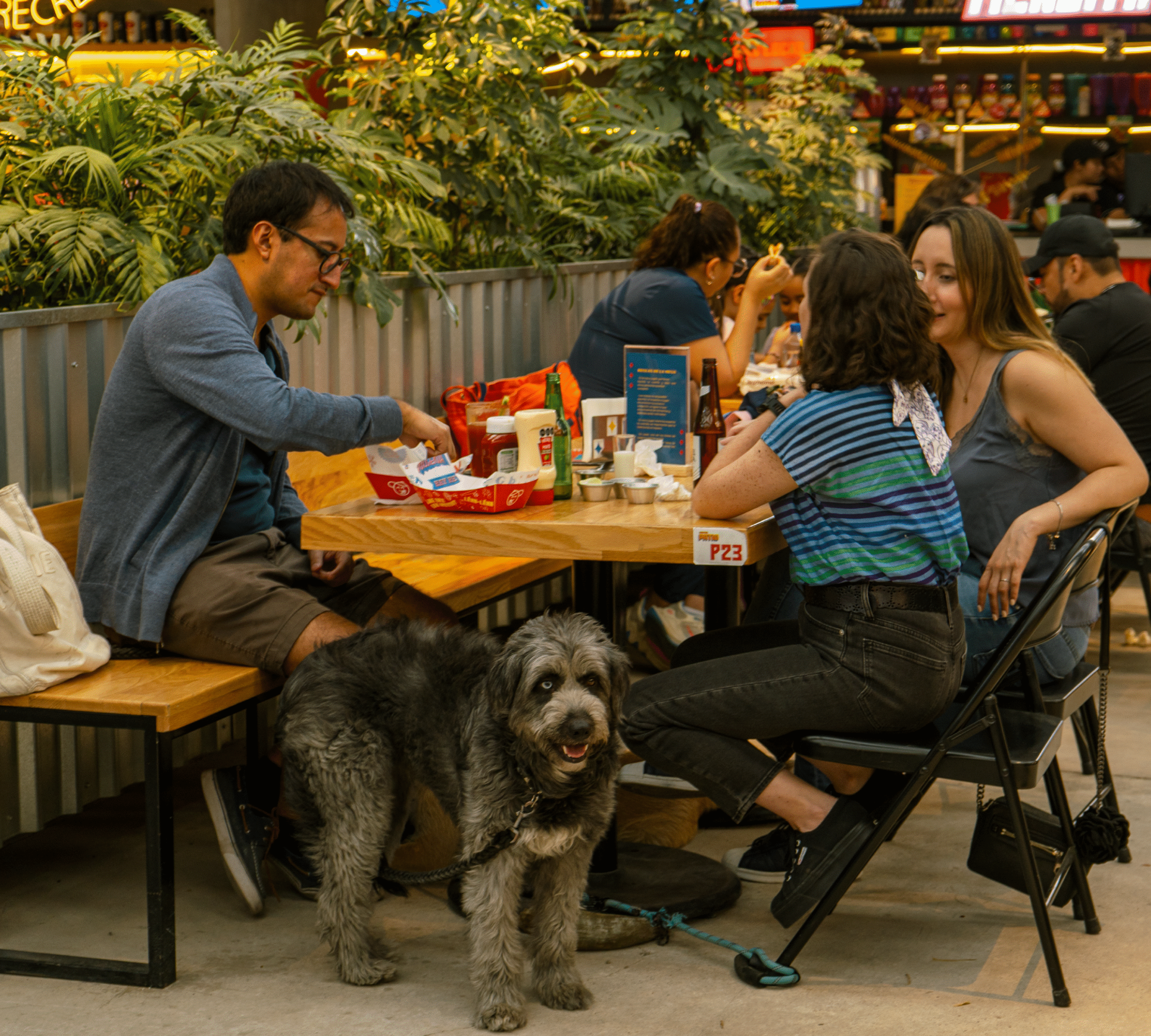 carrusel patio roma-09