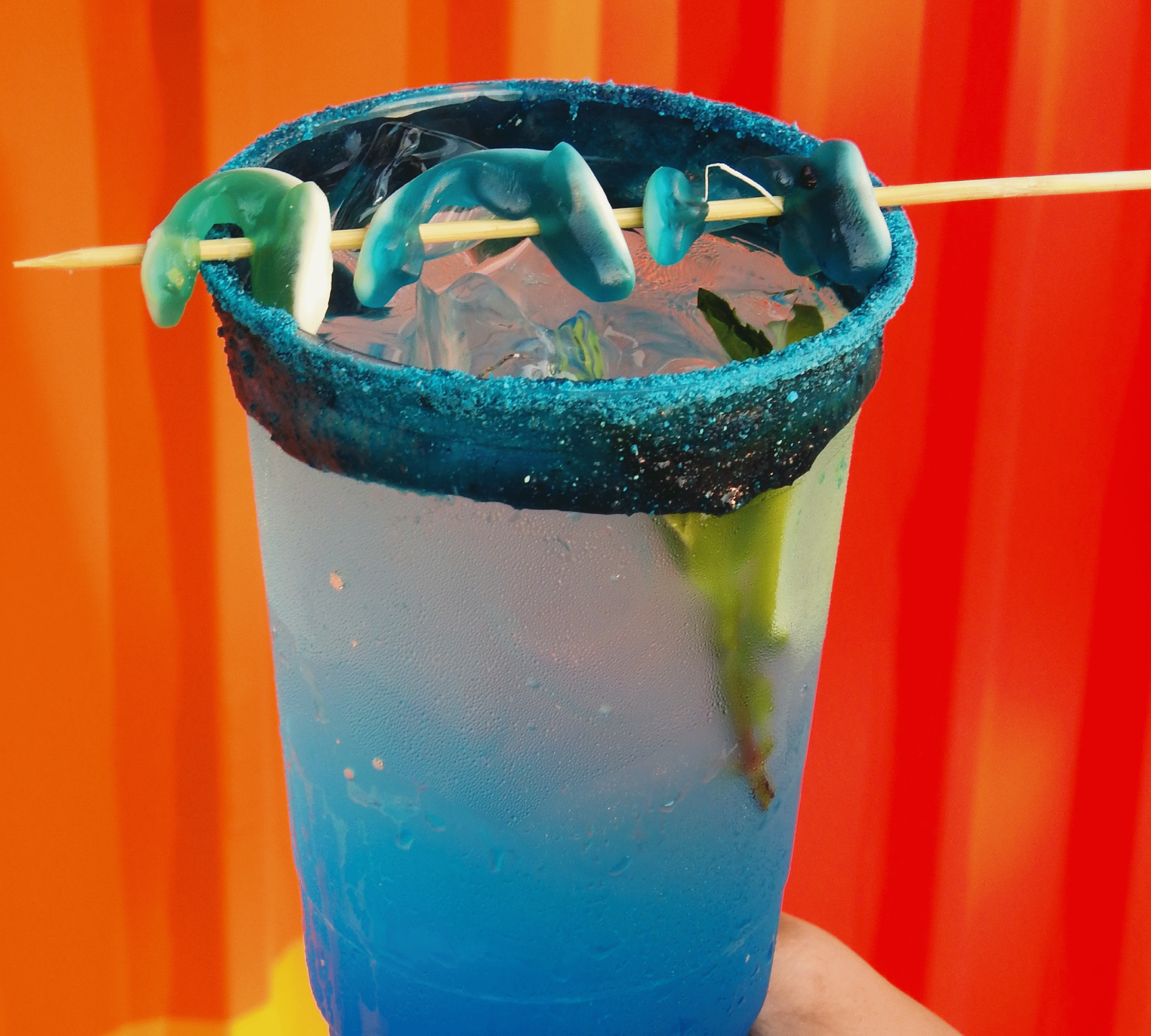 carrusel veracruz-09